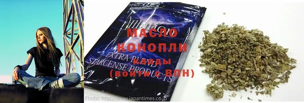 гидра Вяземский