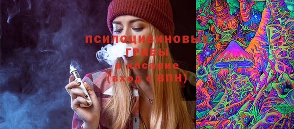 Альфа ПВП Володарск
