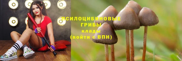 таблы Вязники