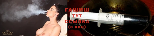 гидра Вяземский
