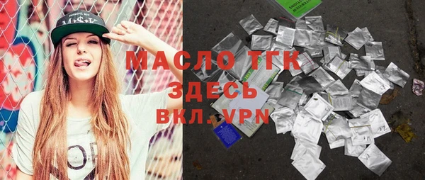 гидра Вяземский