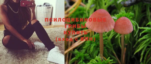 Альфа ПВП Володарск